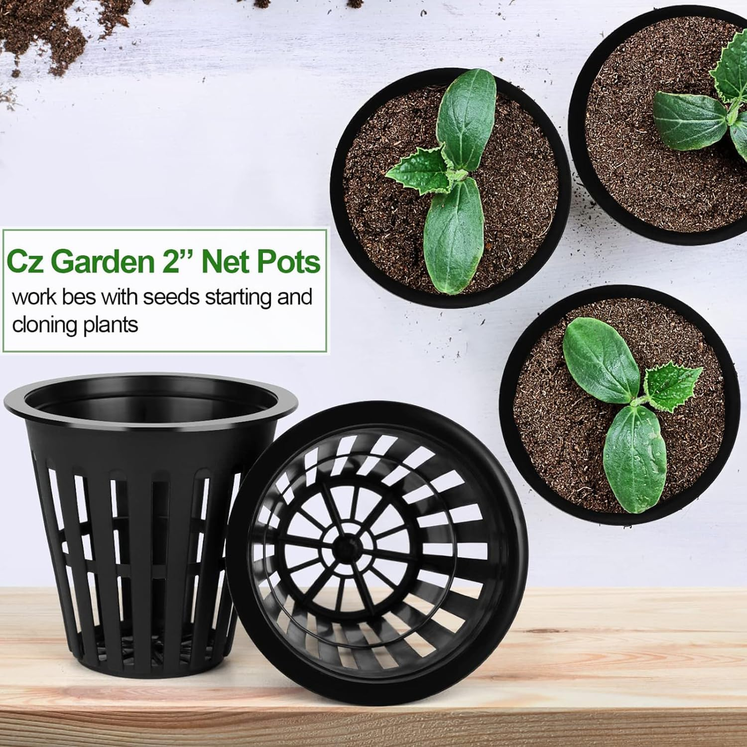 Yharnamite 50 Pcs Garden Slotted Mesh Net Cups, 2" round Hydroponic Net Pots Cups, Wide Lip Bucket Basket for Hydroponics for Hydroponics & Aquaponics, Indoor and Outdoor Plant Growth (Black-50)