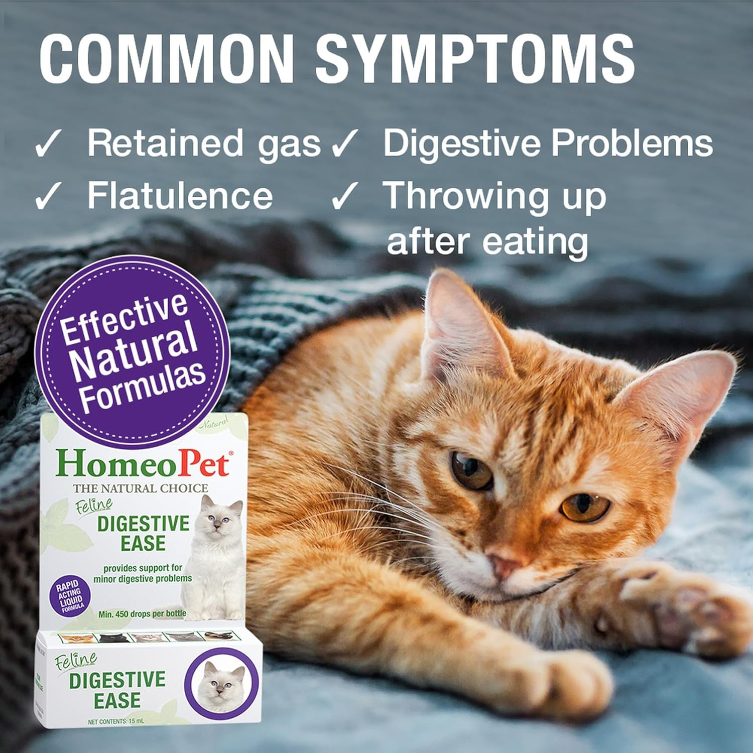 Homeopet Feline Digestive Ease 15 Ml - for Minor Digestive Upsets in Cats to Aid with Regurgitation, Throwing Up, Unsettled Stomach, Nausea, Runny Tummy & Digestive Issues. Safe Natural Vet Formula image number 5