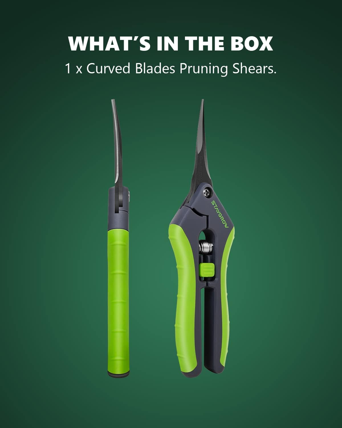 STAYGROW Secateurs 165 Mm with Curved Steel Blades, Locking Handle, Trimming Scissors for Branches, Flowers, Fruits, Plants, Bonsai image number 1