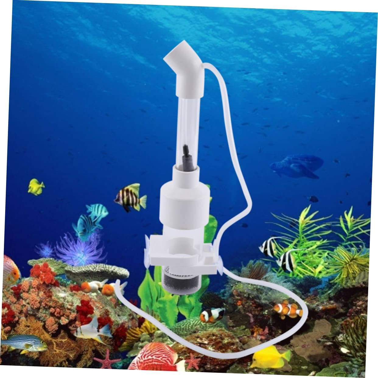 VERDANVERSE Fish Egg Incubator Tumbler 50Mm Aquarium Hatchery Tank Mouth-Brooding Breeder Box for Cichlids and Aquatic Pets