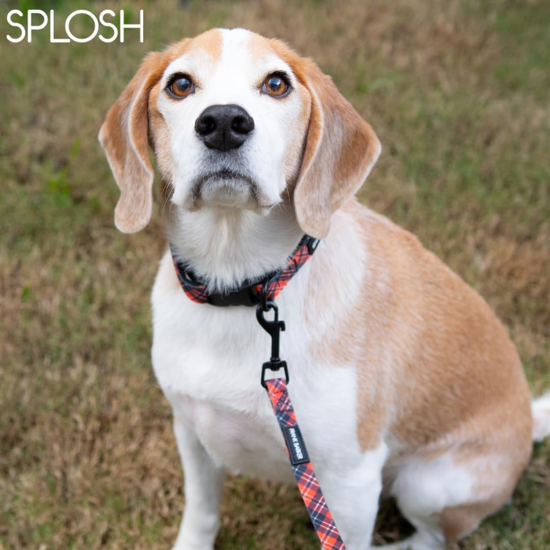 Splosh Frank Barker Dogs Collar, Tartan, Large image number 1