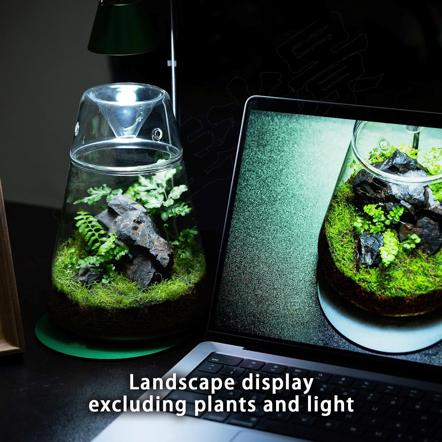 Glass Plant Terrarium with Lid 6.3"X7.9" Inches Succulent Air Planter Fern Moss Micro-Landscape Vase for Home Office Tabletop Decoration Container Indoor Wardian Copyright Patent