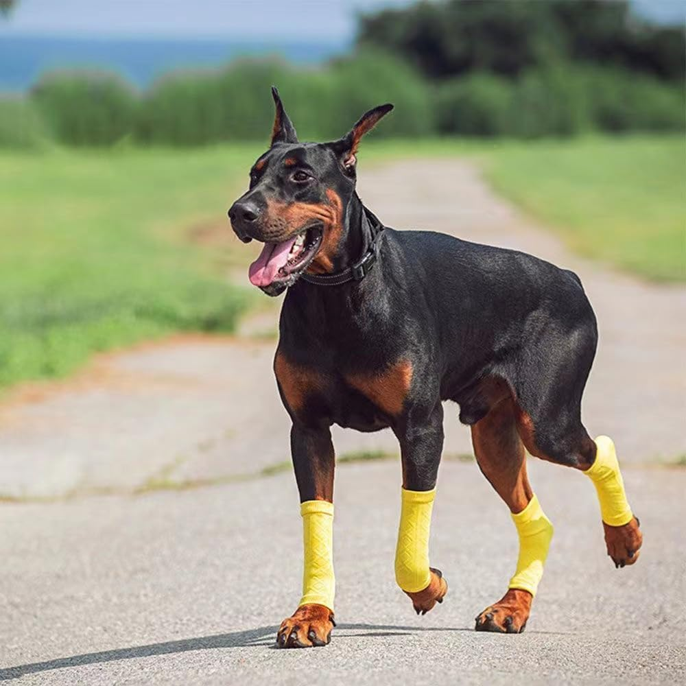 Pet Dog Elbow Protector Dog Elbow Sleeve, 2PCS Front Leg and 2PCS Back Leg Brace, Dog Elbow Wrap, Dog Leg Warmer Wrap Protector, Pet Elastic Knitted Breathable Protective Sock (Yellow, L)