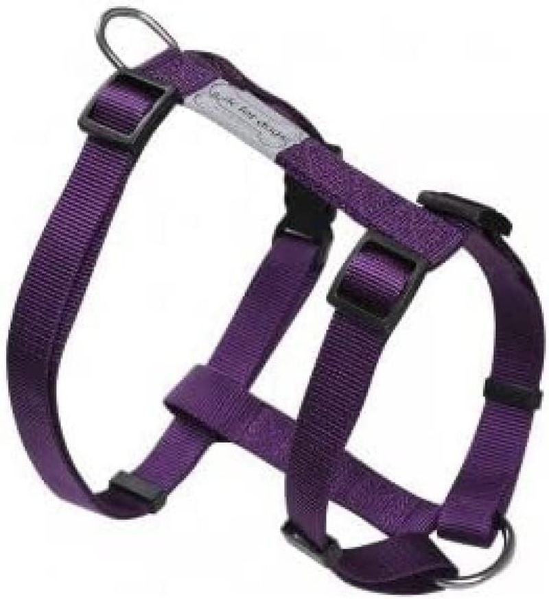Wouapy Wouapy Basic Line Harness for Dog, Purple Harness in 20 Mm Width for Thorax of 52/80 Cm
