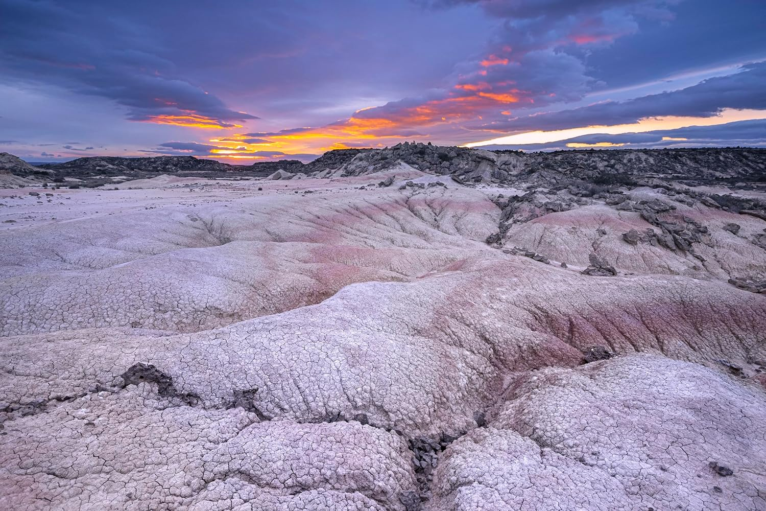 M.Zuiko Digital ED 8-25Mm F4.0 PRO Lens image number 2