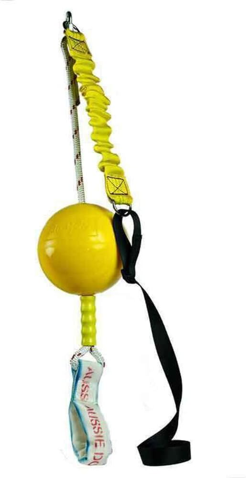 Aussie Dog Home Alone, XL, XL, Yellow image number 5