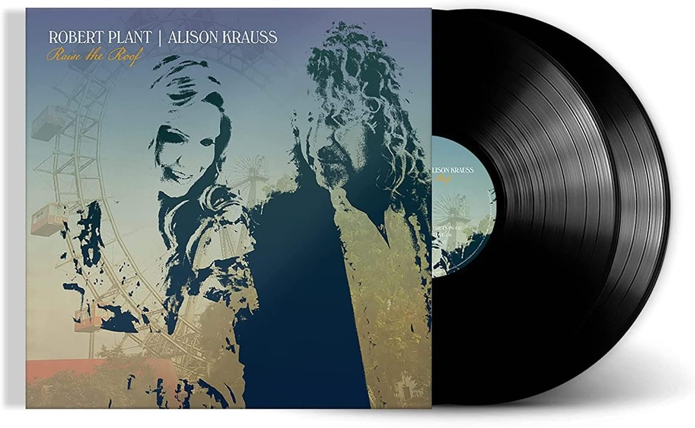 Raise the Roof image number 2