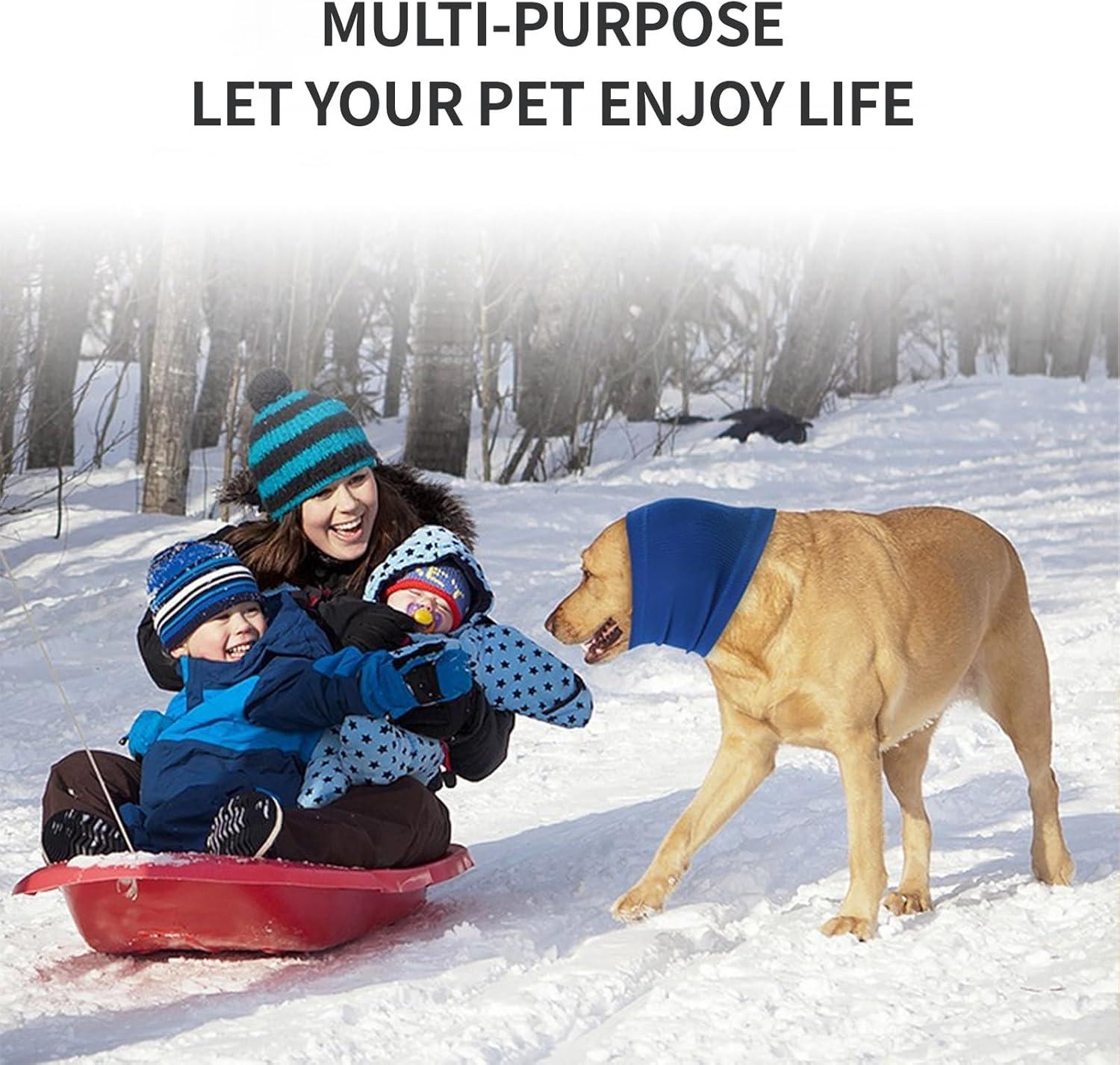 Pet Hoodie,Pet Noise-Proof Ear Cover,Thunder Noise Protection, Anxiety Relief Calming,Dog Head Cover the Grooming and Force Drying Dog Ear Protector. (Blue, M) image number 6