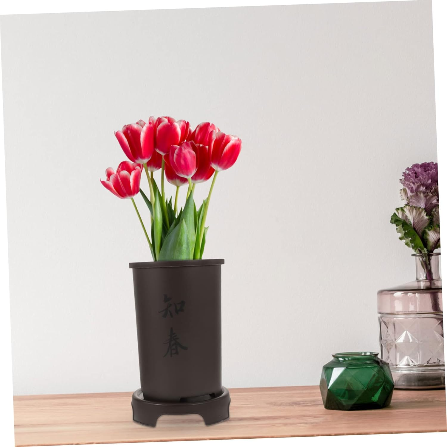 Yardenfun Decorative Plant Pots for Orchids Resin Flower Pots Drainage Tray Indoor Outdoor Planters image number 5