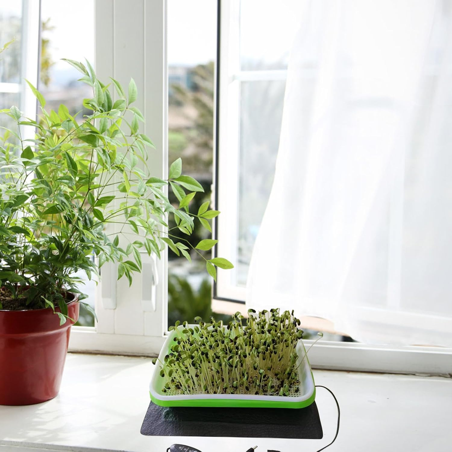 Seedling Heat Mat, Consistent Temperature Control, 3 Gear Temperature Adjustment Hydroponic Heating Pad for Indoor Gardening, Root Warming (1522) image number 6