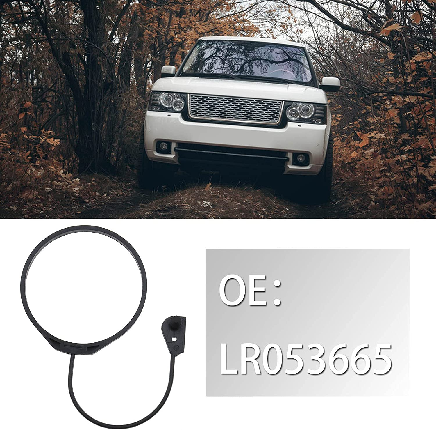 Emsea Fuel Cap Line LR053665 Compatible with Land Rover Discovery 3/4 Freelander 2