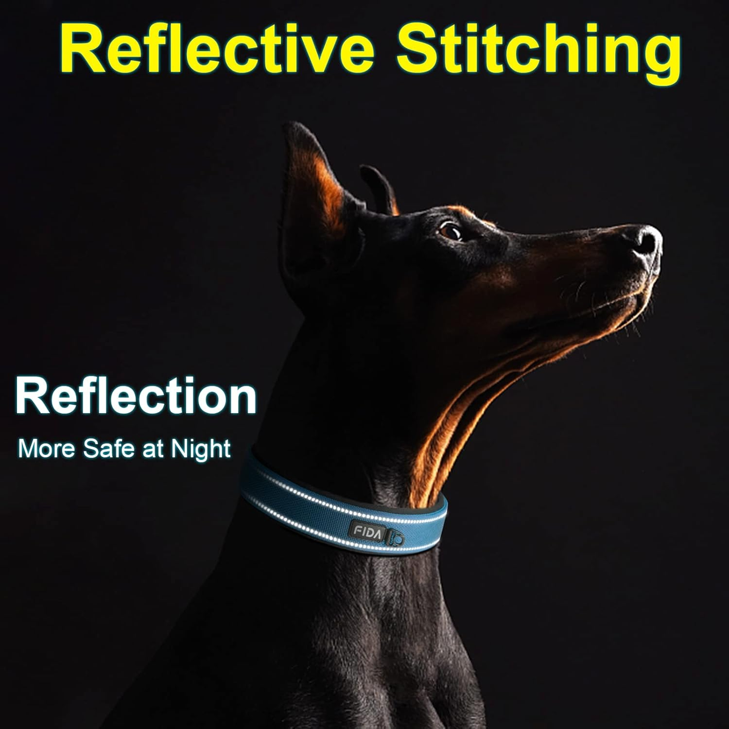 Fida Heavy Duty Dog Collar, Ultra Comfortable Soft Neoprene Padded, Adjustable Reflective Nylon Pet Collar with Durable Metal Belt Buckle for Medium Breeds (M, Blue) image number 4