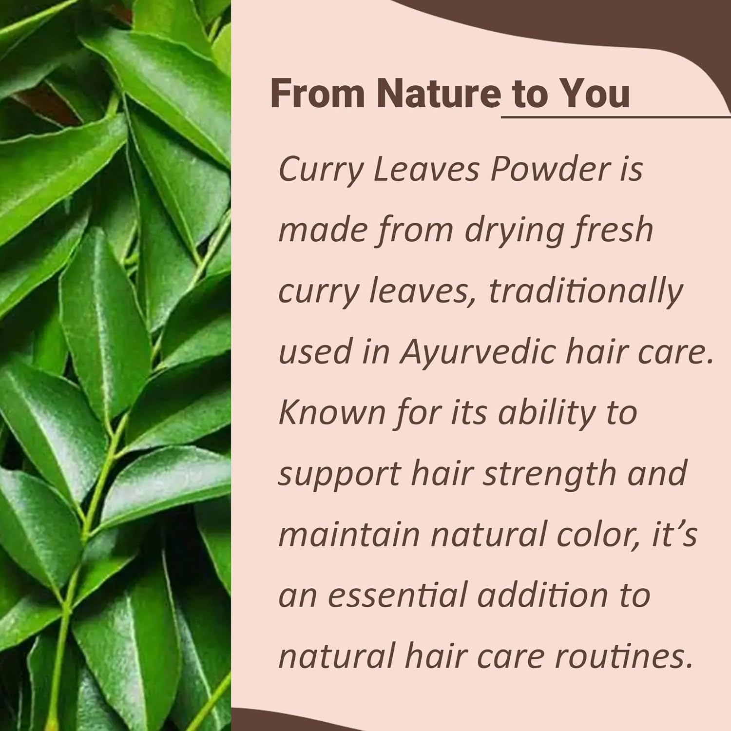 Mi Nature Curry Leaves Powder | Murraya Koenigii | Sweet Neem | 227G (8 Oz.) (0.5 Lb) | Hair & DIY Care | 100% Natural Herbal Ingredient| from India. image number 2