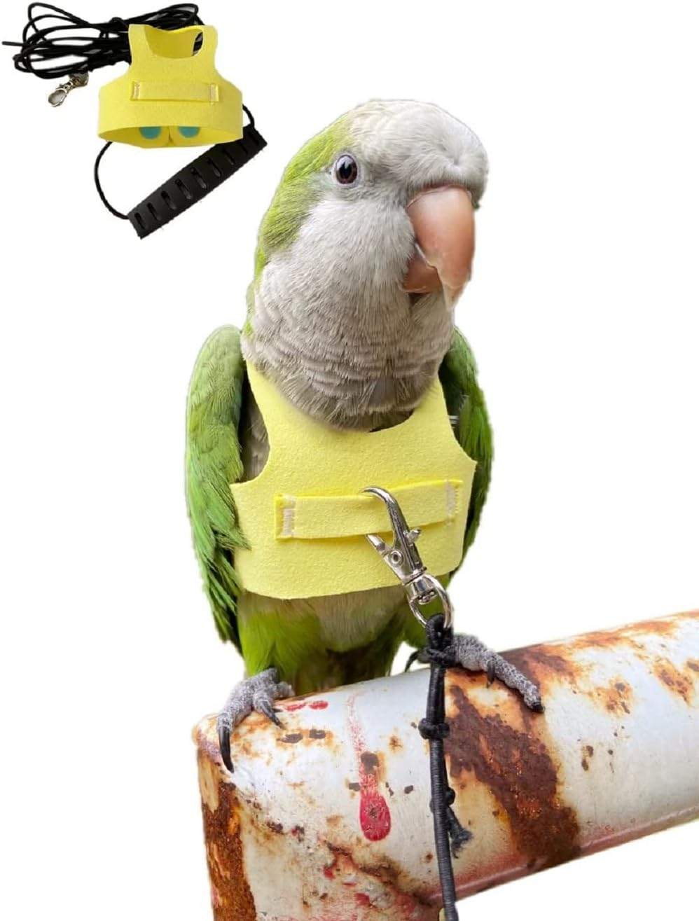Bird Flight Harness Vest, Parrot Suit with Leash for Parakeets Cockatiels Conures Budgies, Flying Clothes Rope and Handle Outdoor Activities Training, anti Bite (2M, Yellow)