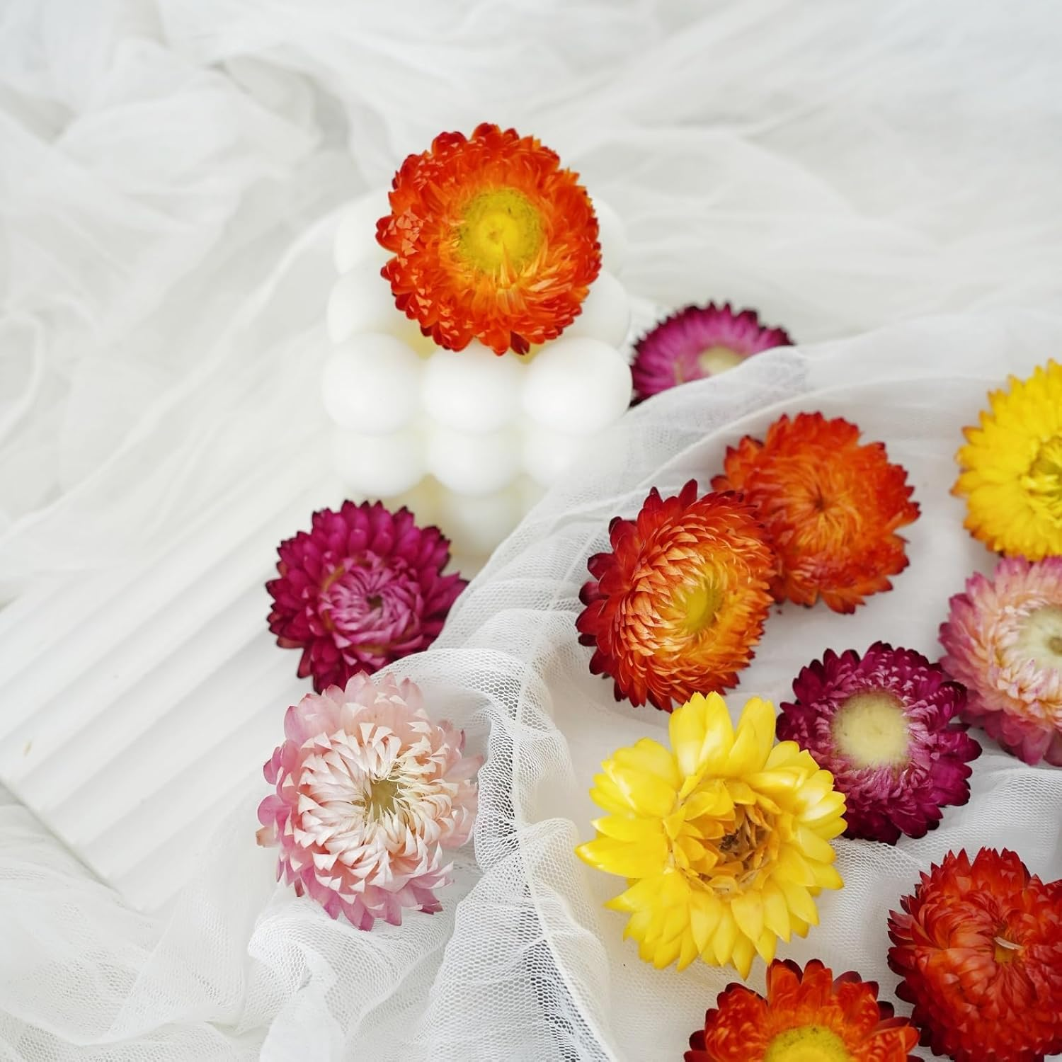 Natural Dried Daisy Flowers Heads - 30~40 Pcs Gerbera Daisies Real Sunflowers Chrysanthemum, Dry Flower Arrangements for Wedding Decor, Home Party Decoration and DIY Craft (Multi Colors) image number 3