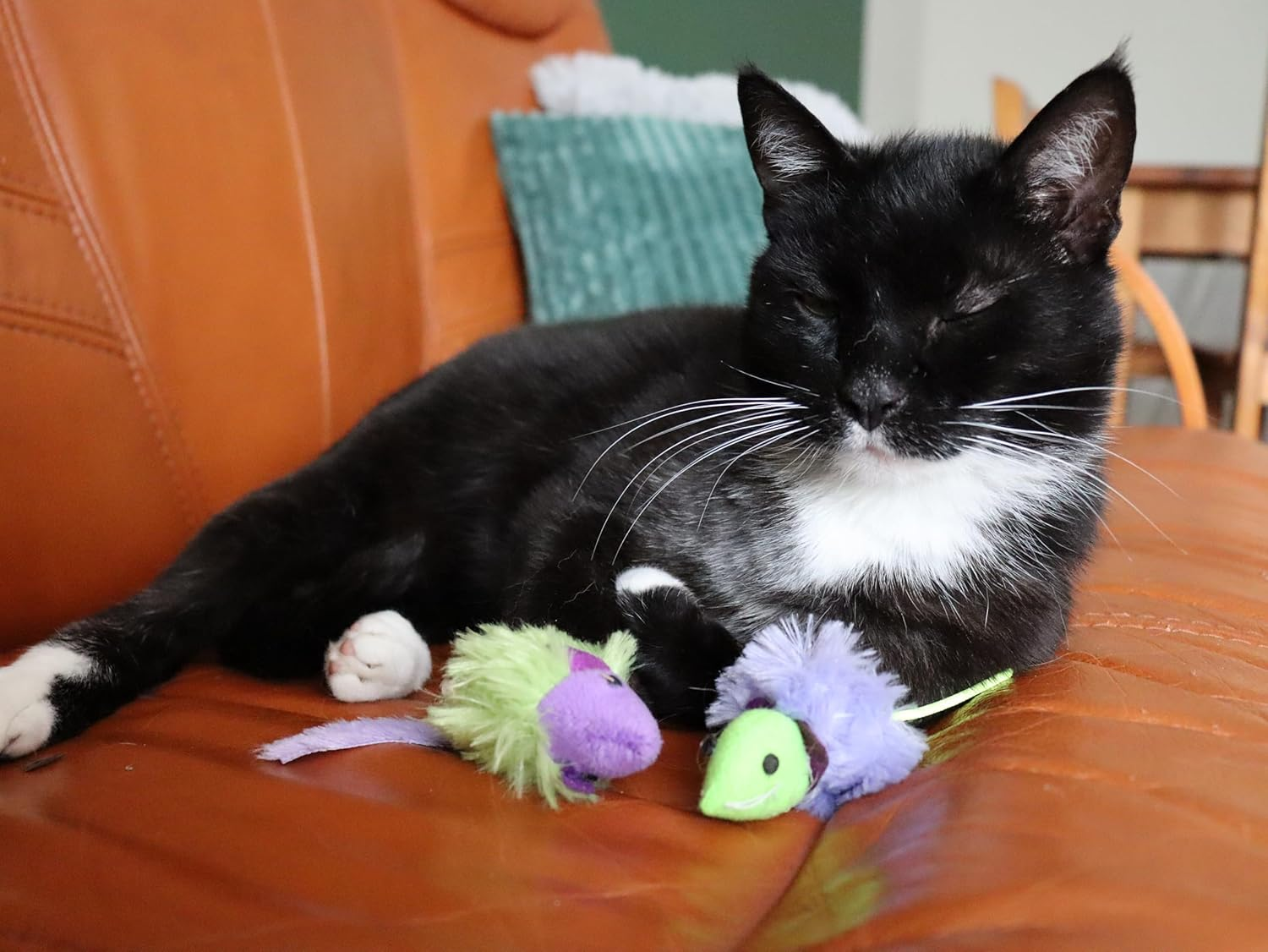 Dingo Party Cat Toy Set: 2 Fluffy Fabric Mice with Bells for Playing and Hunting. Lightweight Pet Toys in Green and Purple (21194) image number 2