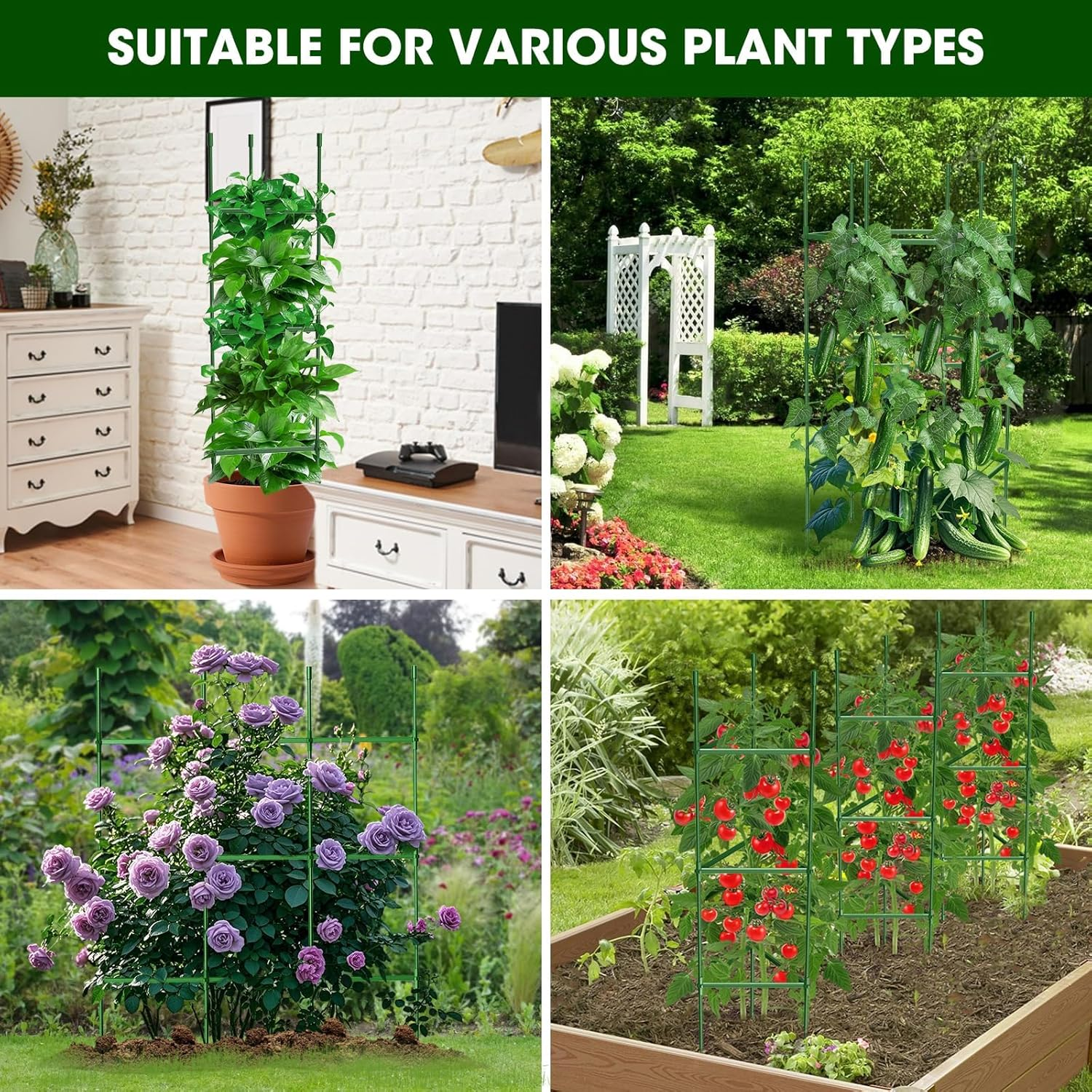 Tomato Cages for Garden,Up to 120Cm Tomato Cage Trellis-Upgraded Hexagon Connector,Heavy Duty Adjustable Tomato Stake Support for Raised Garden Bed(3 Pack) image number 2