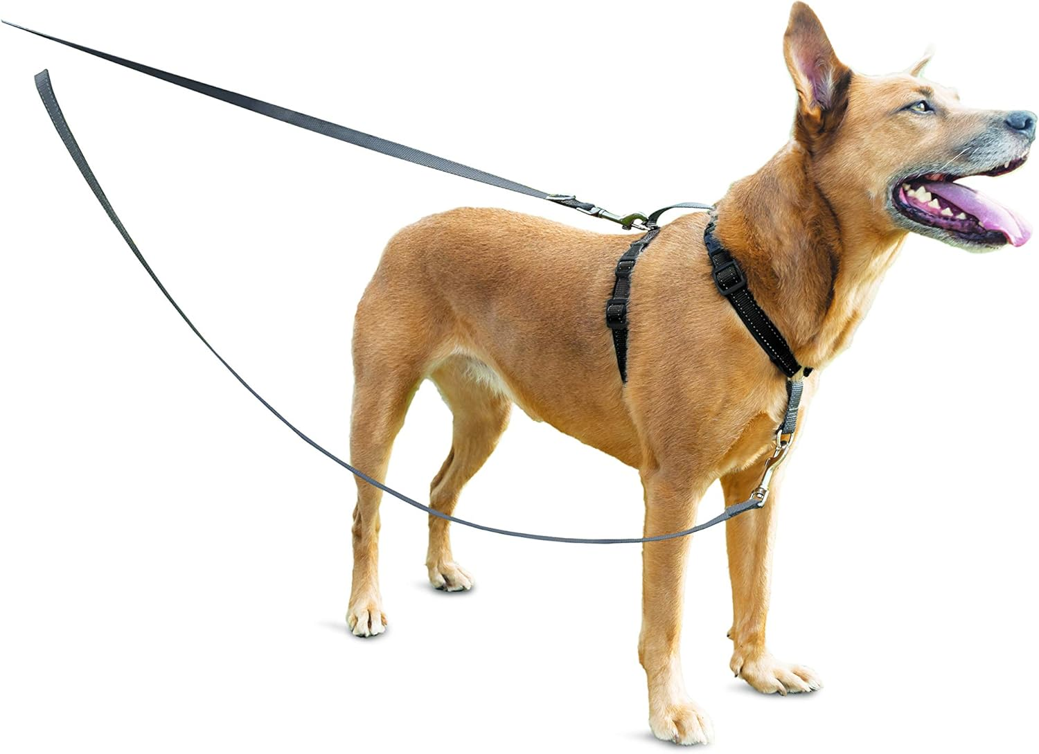 Petsafe Anti-Pull Dog Lead image number 1