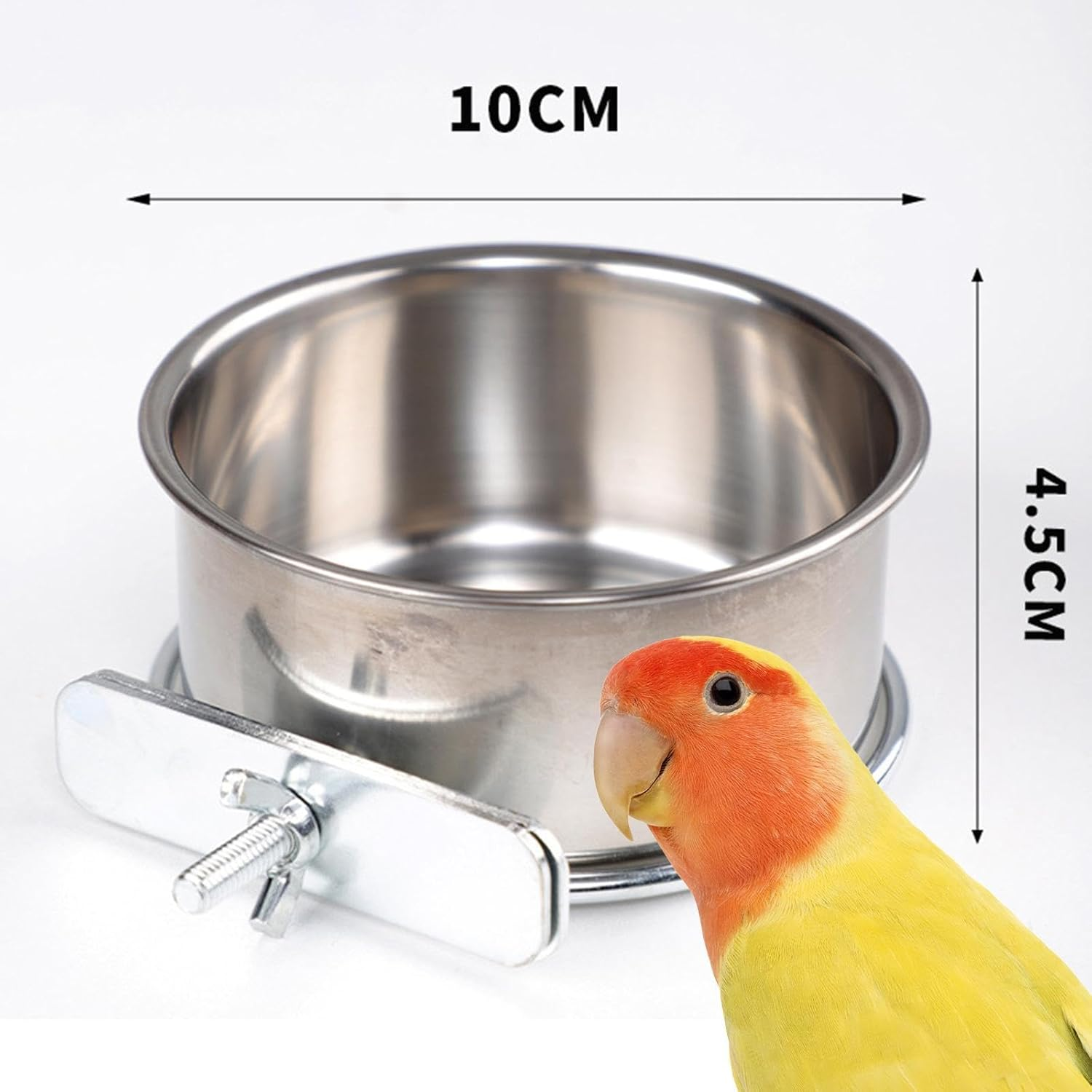 Jinhxofs Feeding Bowl for Birds Stainless Steel with Fastening Safe and Stable Easy to Clean for Budgies Parrots and Small Birds, Diameter 10Cm image number 3