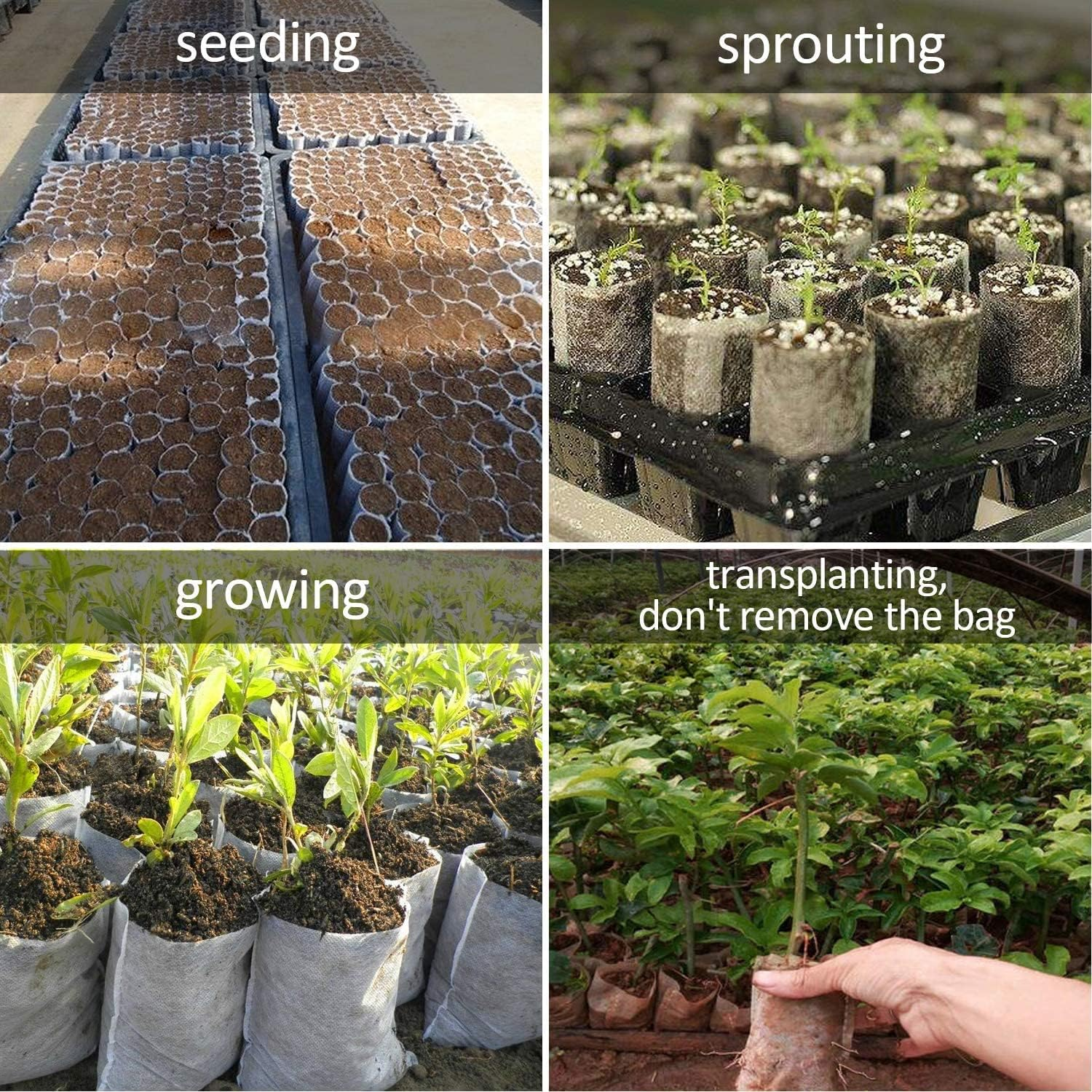 Augshy Grow Bags - 400Pcs Plant Nursery Bags, Seeding Bags, Fabric Seedling Pots - Home Garden Outdoor Greenhouse Supplies - 11X11Cm/4.2"X4.2" Non-Woven image number 5