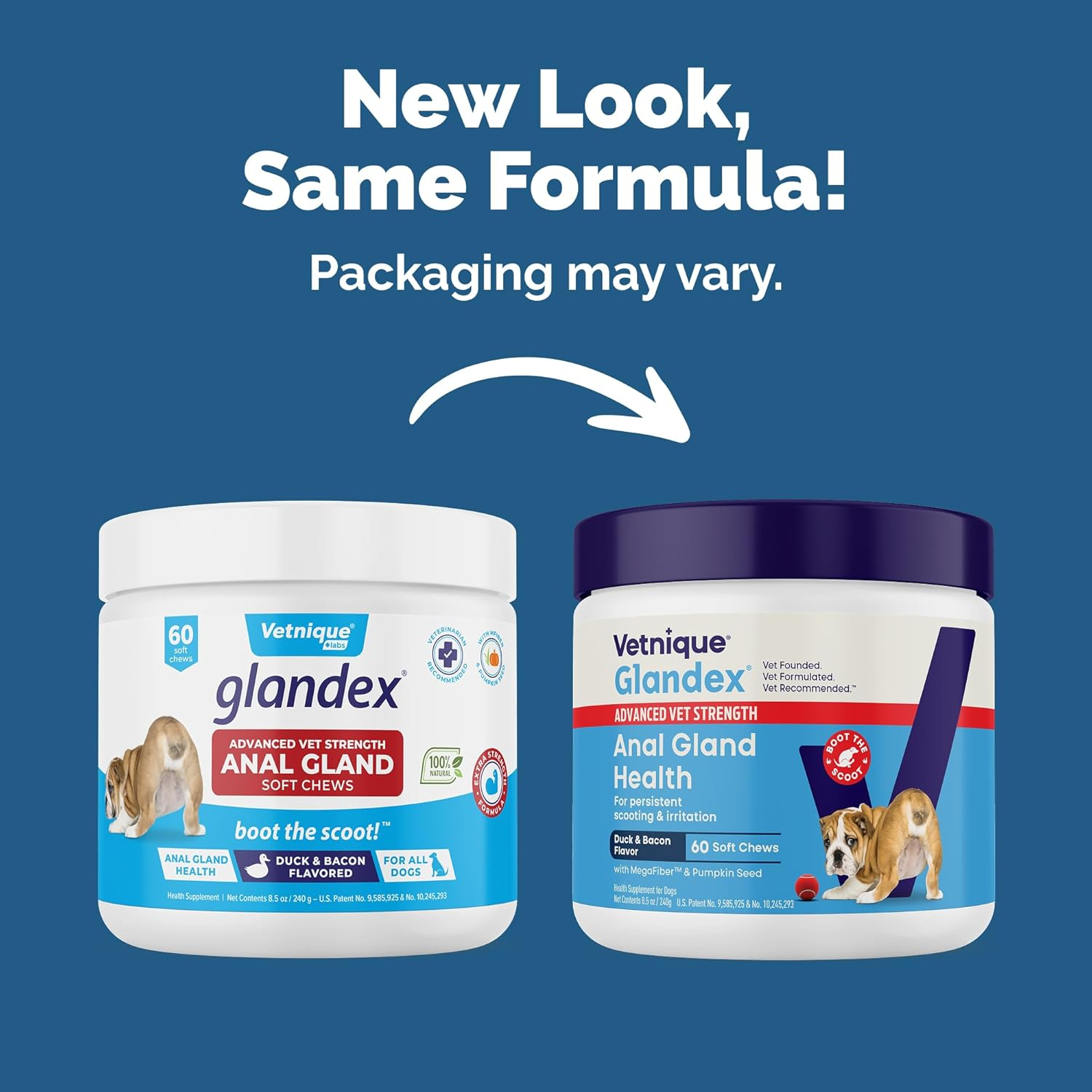 Vetnique Glandex Gland Soft Chew Treats with Pumpkin for Dogs Digestive Enzymes, Probiotics Fiber Supplement for Dogs Boot the Scoot (Advanced Strength Duck/Bacon Chews (Vegetarian), 60 Ct) image number 6