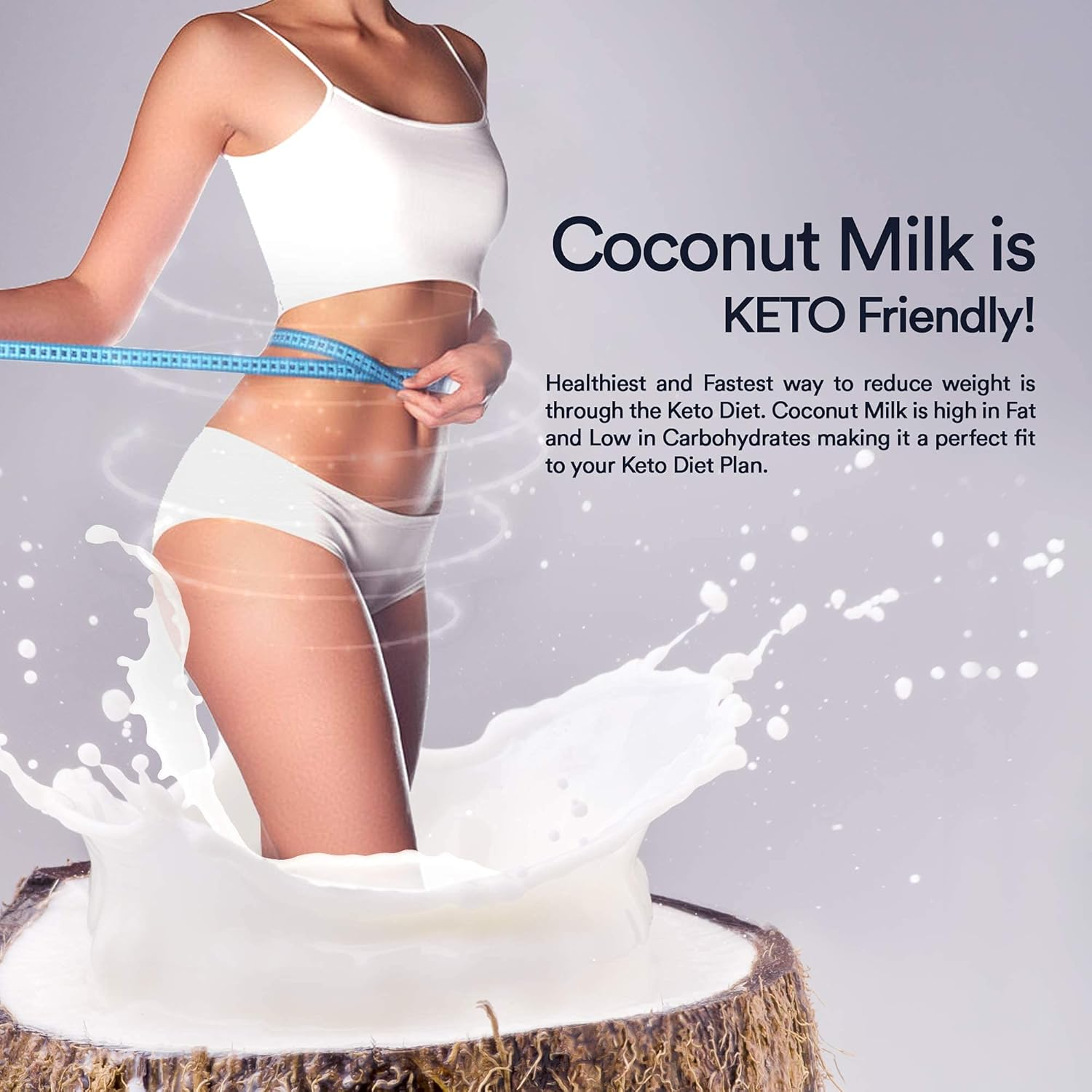 HYE Vegan Coconut Milk Powder | 500G image number 2