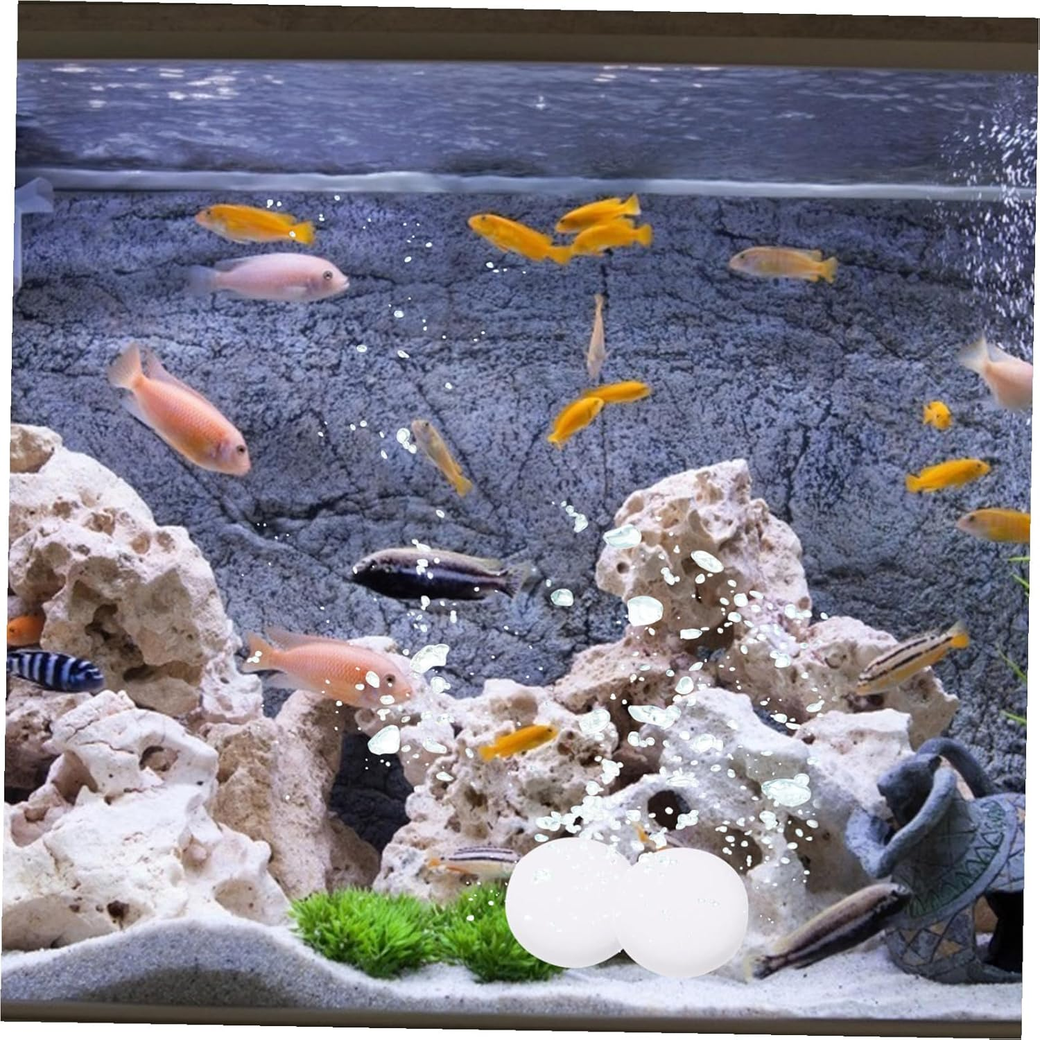 VERDANVERSE Aquarium Co2 Tablets 10Pcs Water Soluble Co2 Supplements Effective Fish Tank Supplies for Household and Professional Aquariums image number 2