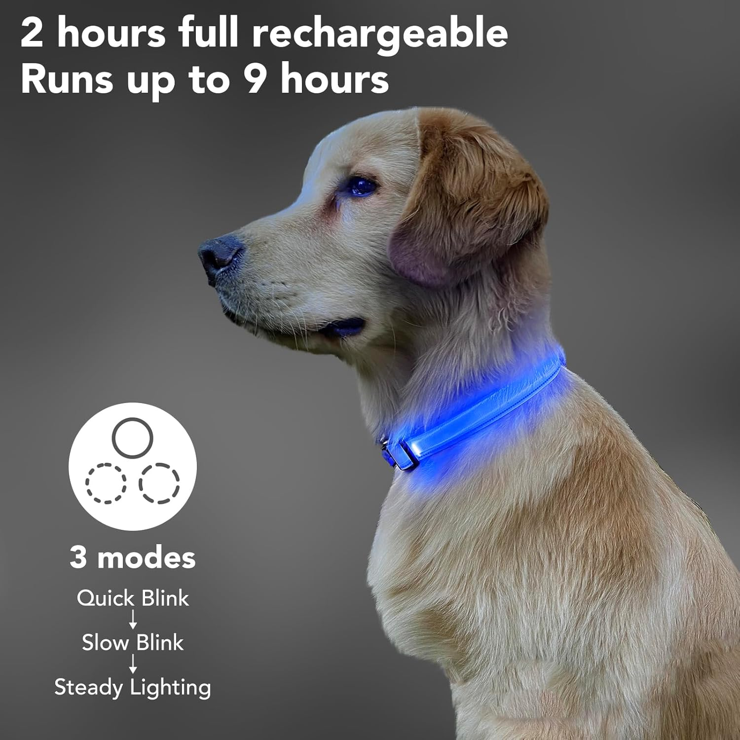 Pzrlit Light up Dog Collar Light Rechargeable, Fully Adjustable LED Dog Collar Waterproof, 3 Flashing Modes Glow Dark Dog Collars for Night Walking for Medium Large Dogs image number 4
