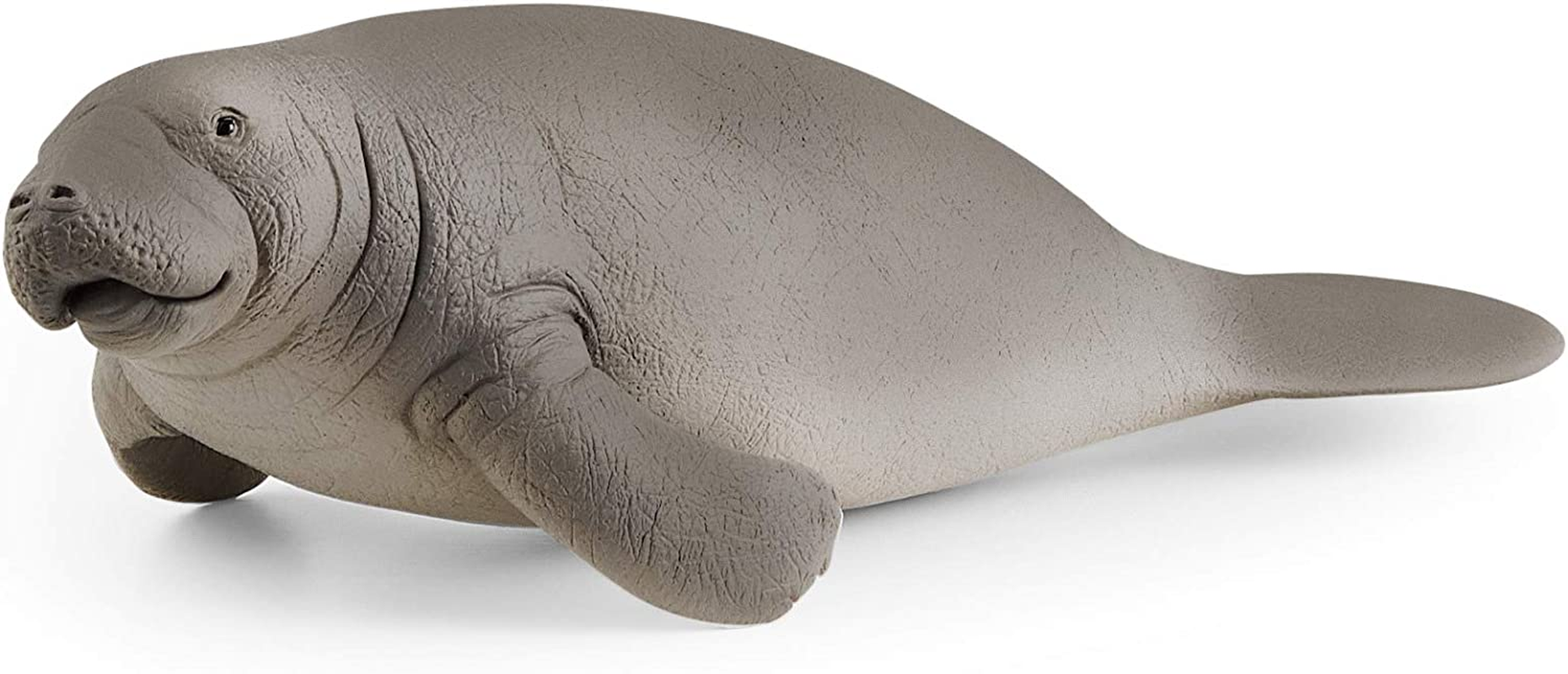 Schleich Wild Life Realistic Manatee Figurine - Authentic and Highly Detailed Animal Toy, Durable for Education and Fun Play, Perfect for Boys and Girls, Ages 3+ image number 1
