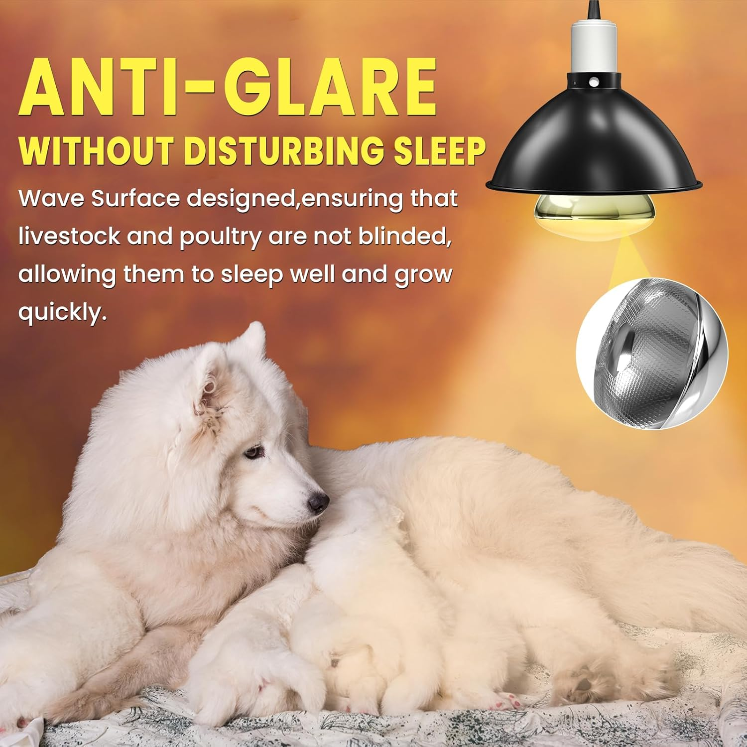 250W Heat Lamp - E27 Bulb for Poultry, Food, Catering, Brooding & Chicks image number 2