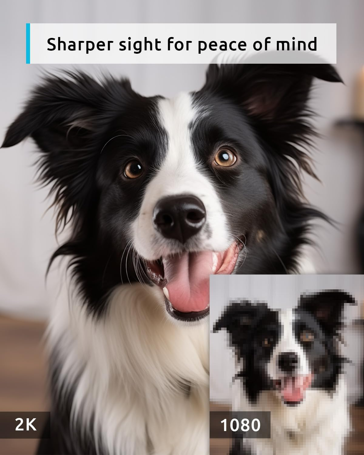 Blurams Pet Camera 2K, 360&deg; Indoor Security Camera, Dog Camera with Phone App, PTZ Cameras for Home Security Indoor, 2-Way Talk, Motion Tracking, Color/Ir Night Vision, Cloud&Sd(2.4Ghz Only) image number 1