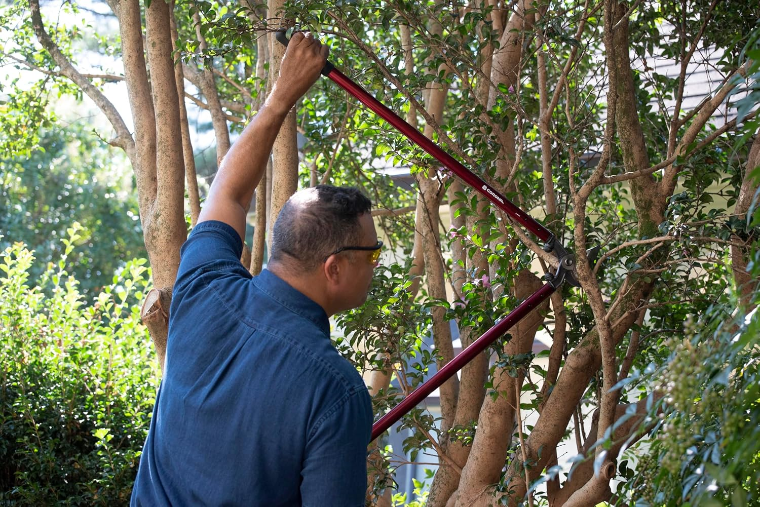 Corona Tools | 36-Inch Branch Cutter MAXFORGED Orchard Loppers | Tree Trimmer Cuts Branches up to 2 &frac14;-Inches in Diameter | AL 8482, Red image number 2