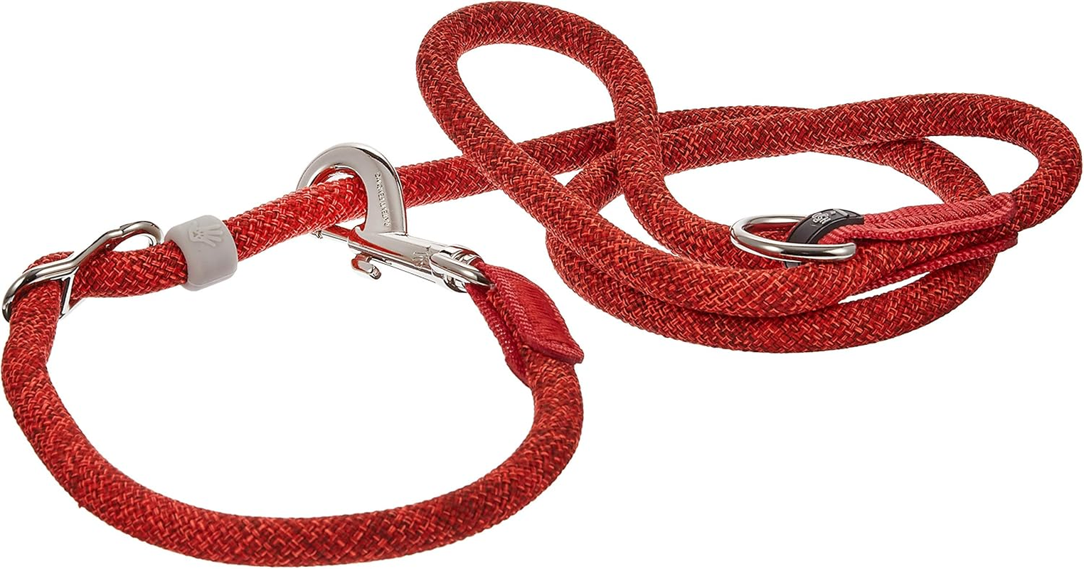 High Five Dogs Leader Leash, Orange, Length 4.9 Ft (1.25 M) X Width 0.5 Inch (1