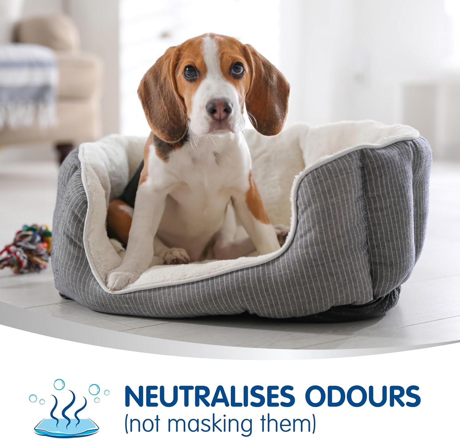 No Vac Fresh Pet Foaming Sanitiser and Deodoriser Spray 418 G