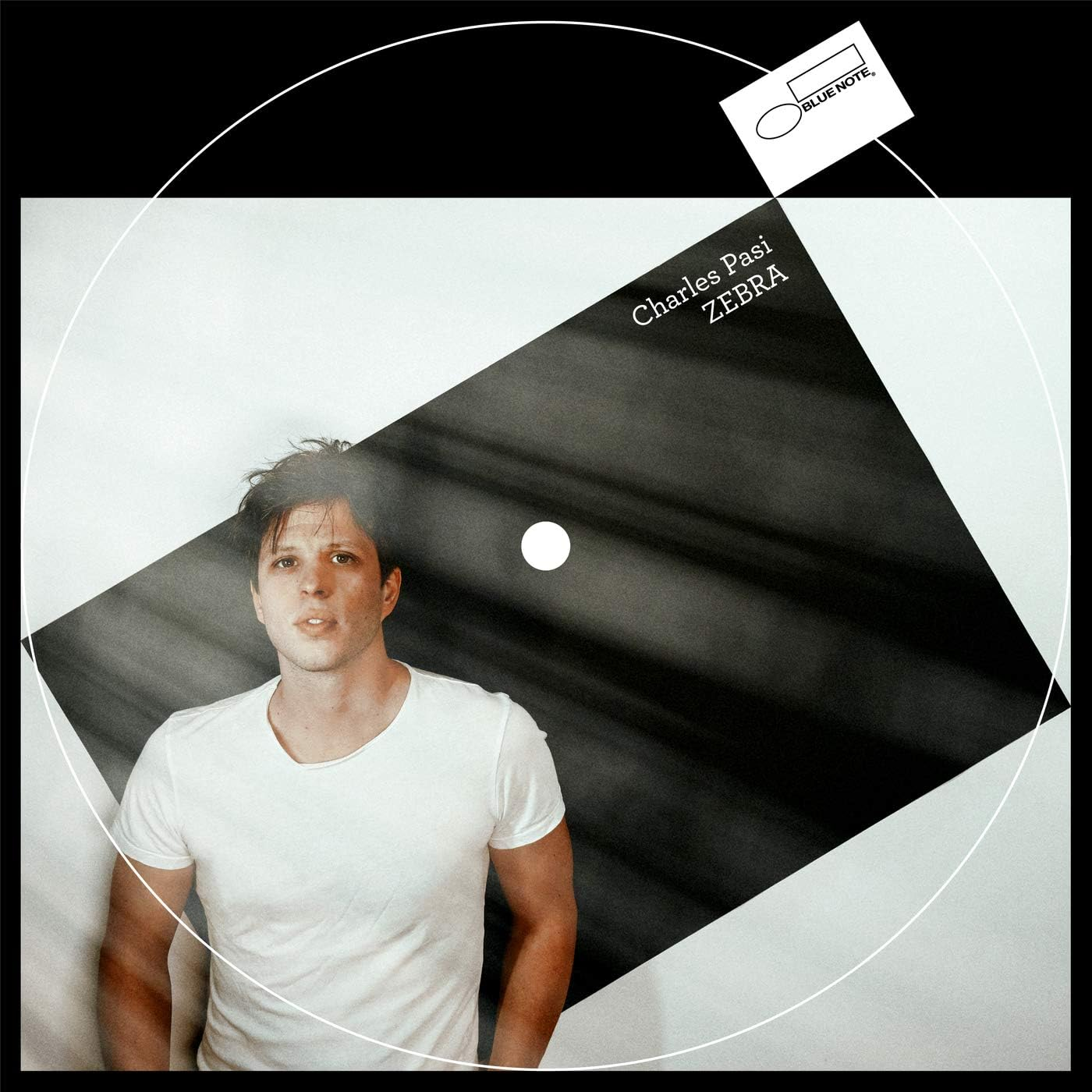 Zebra Zebra image number 1