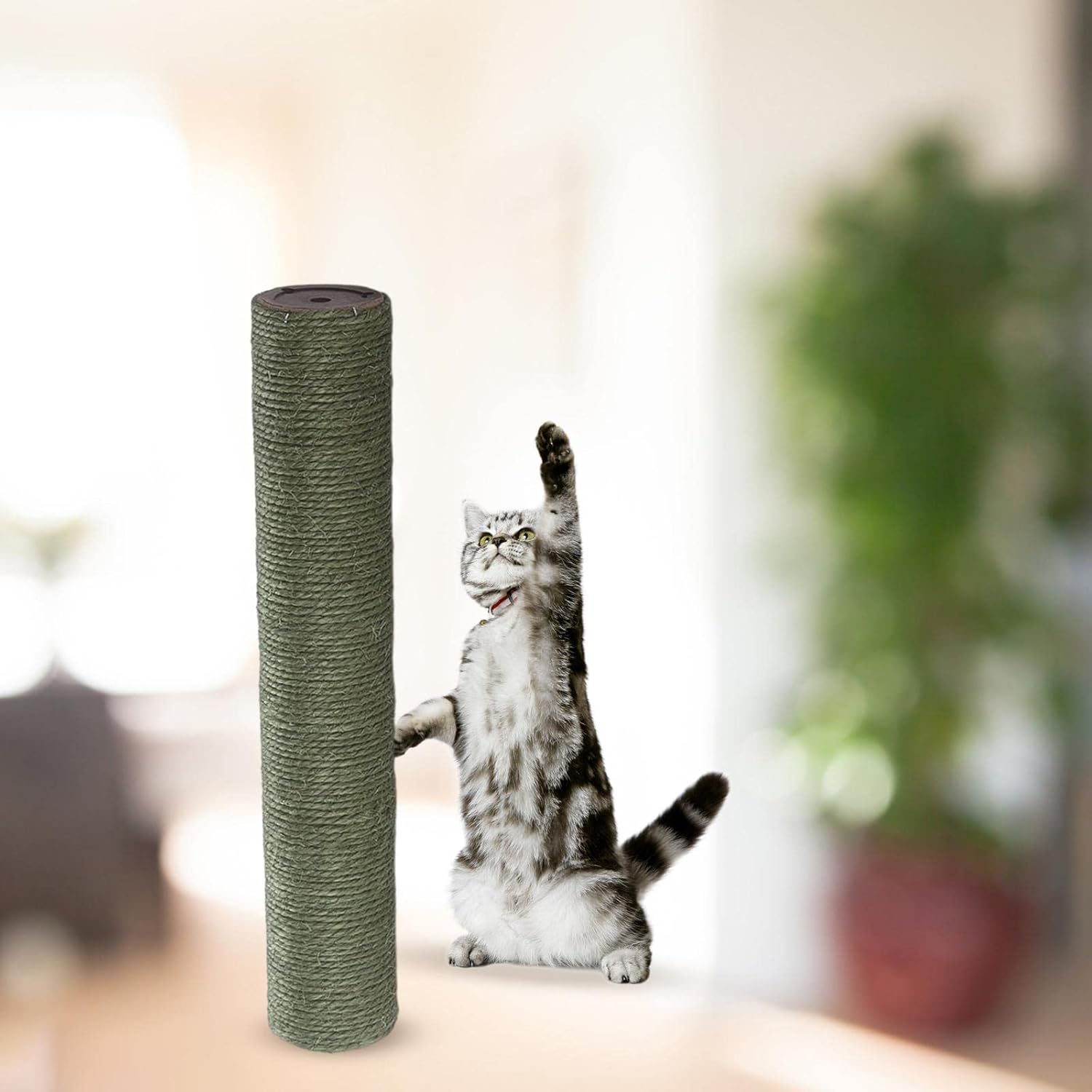 1X Scratch Post Refill Pole Protects Cat Nails Sisal Mat Dia 7Cm Cat Tree Scratcher Post Playing Cat Scratching Post Replacement, Beige H 12.5CM image number 6