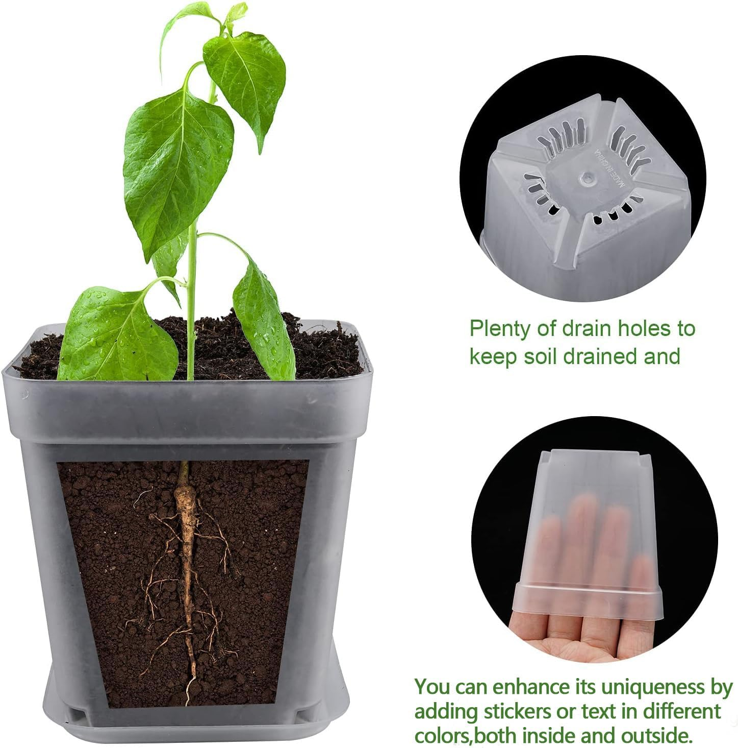 Square Nursery Pots Plastic 28 Pcs 3 Inches with Saucers and Plant Labels Reusable Seedling Pots Frosted Starter Plant Pots Mini Planter for Indoor/Outdoor image number 5