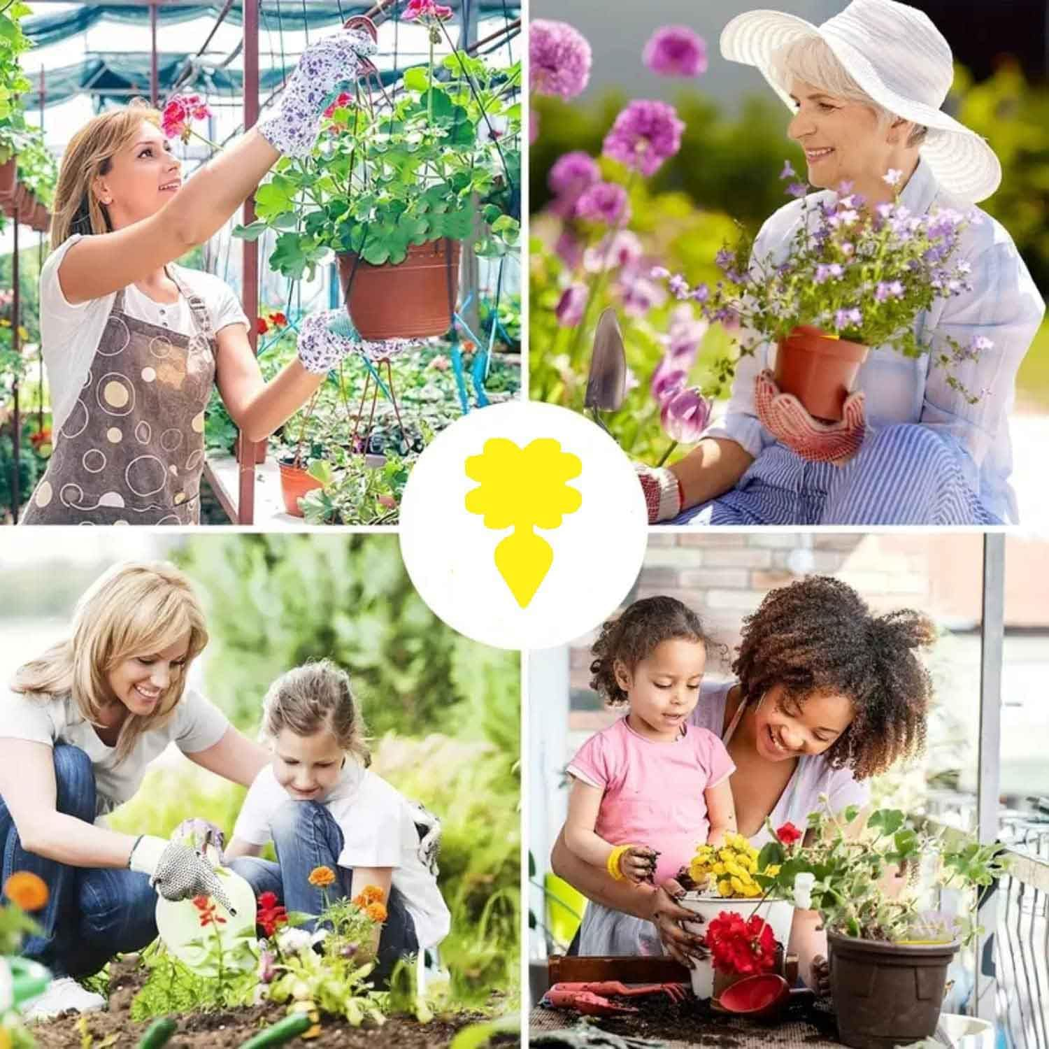 60 Pieces Fruit Fly Sticky Trap | Portable Insect Traps for Mosquitoes, Flies, Moths | Waterproof Disposable Fly Sticker for Plants | Outdoor Indoor Use image number 1