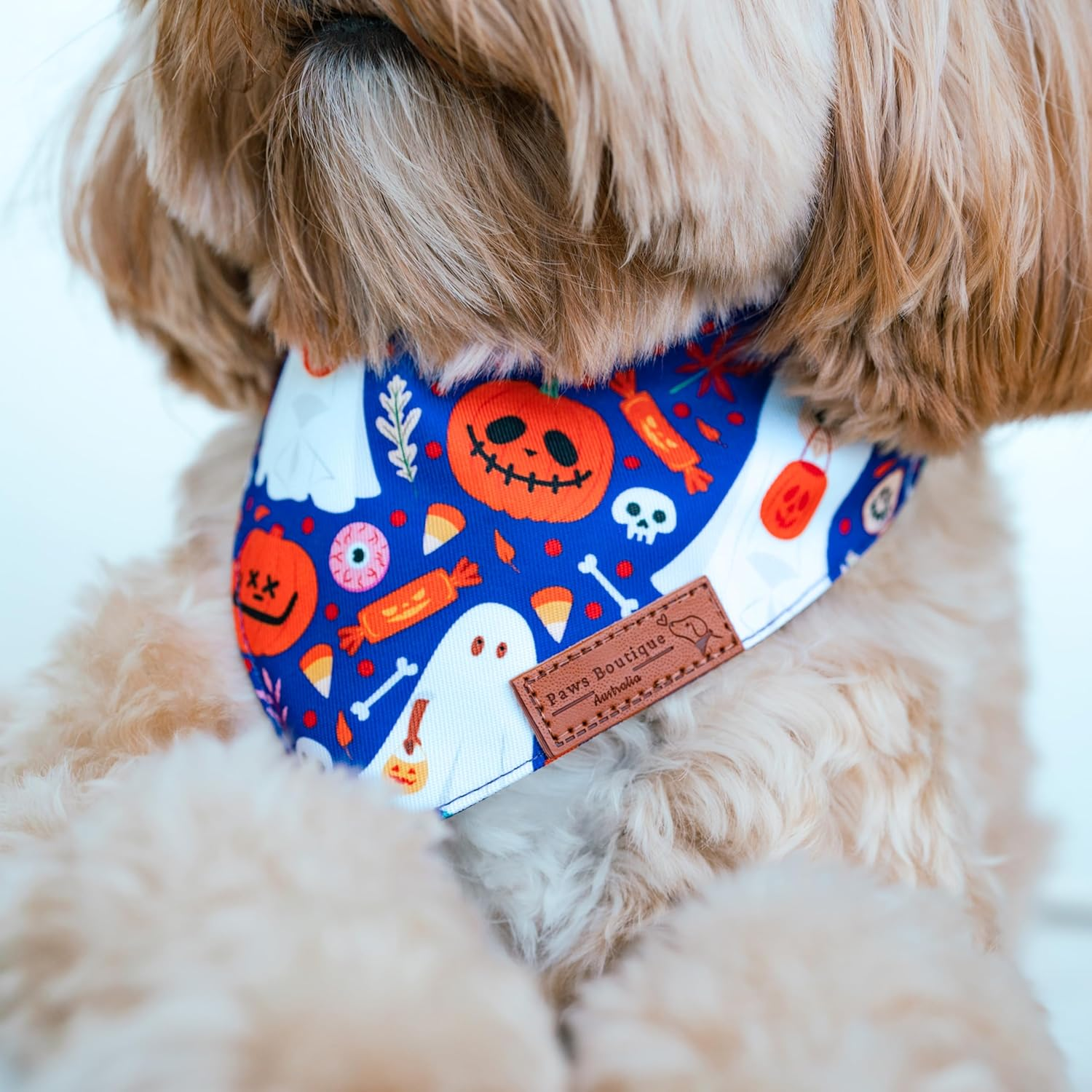Paws Boutique Premium Dog Bandana/Scarf | Design: Boo-Tiful Pooch | Reversible Dual Layered/Sided | Small, Medium & Large Pets | Unique Style | Accessories for Puppies & Dogs (L)