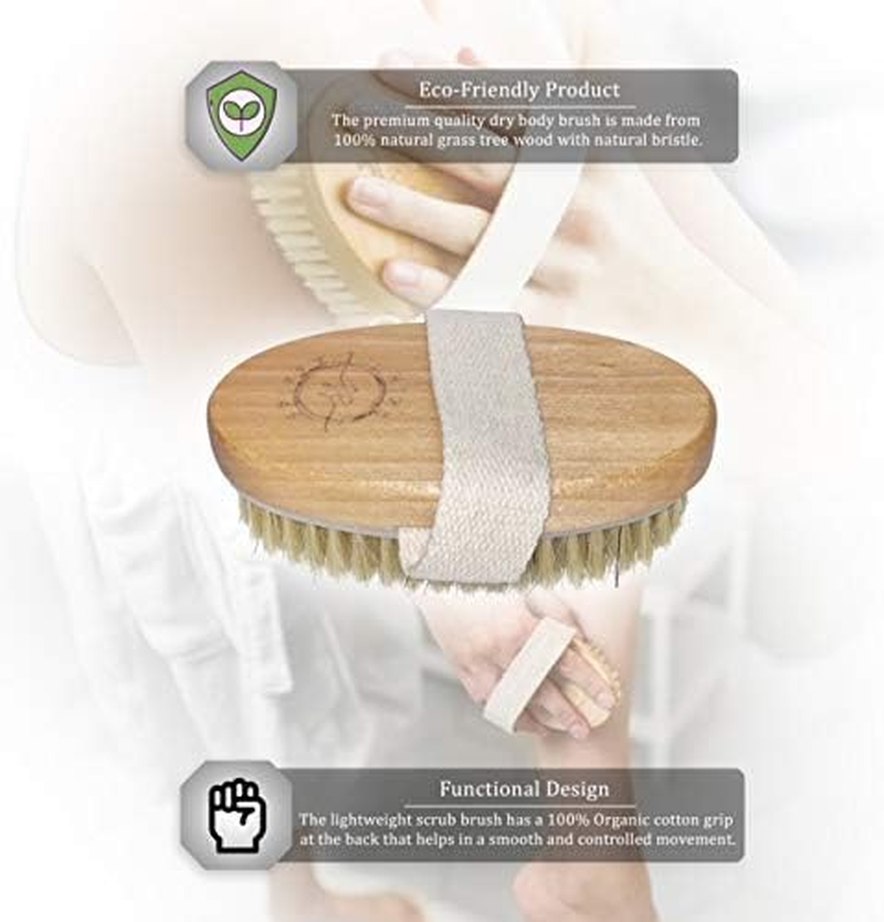 Wet and Dry Body Brush Exfoliator - Medium Soft Natural Bristle - Exfoliates Dead Skin - Slows Aging - Reduces Cellulite - Stimulates Lymph and Blood Flow and Increases Energy image number 2
