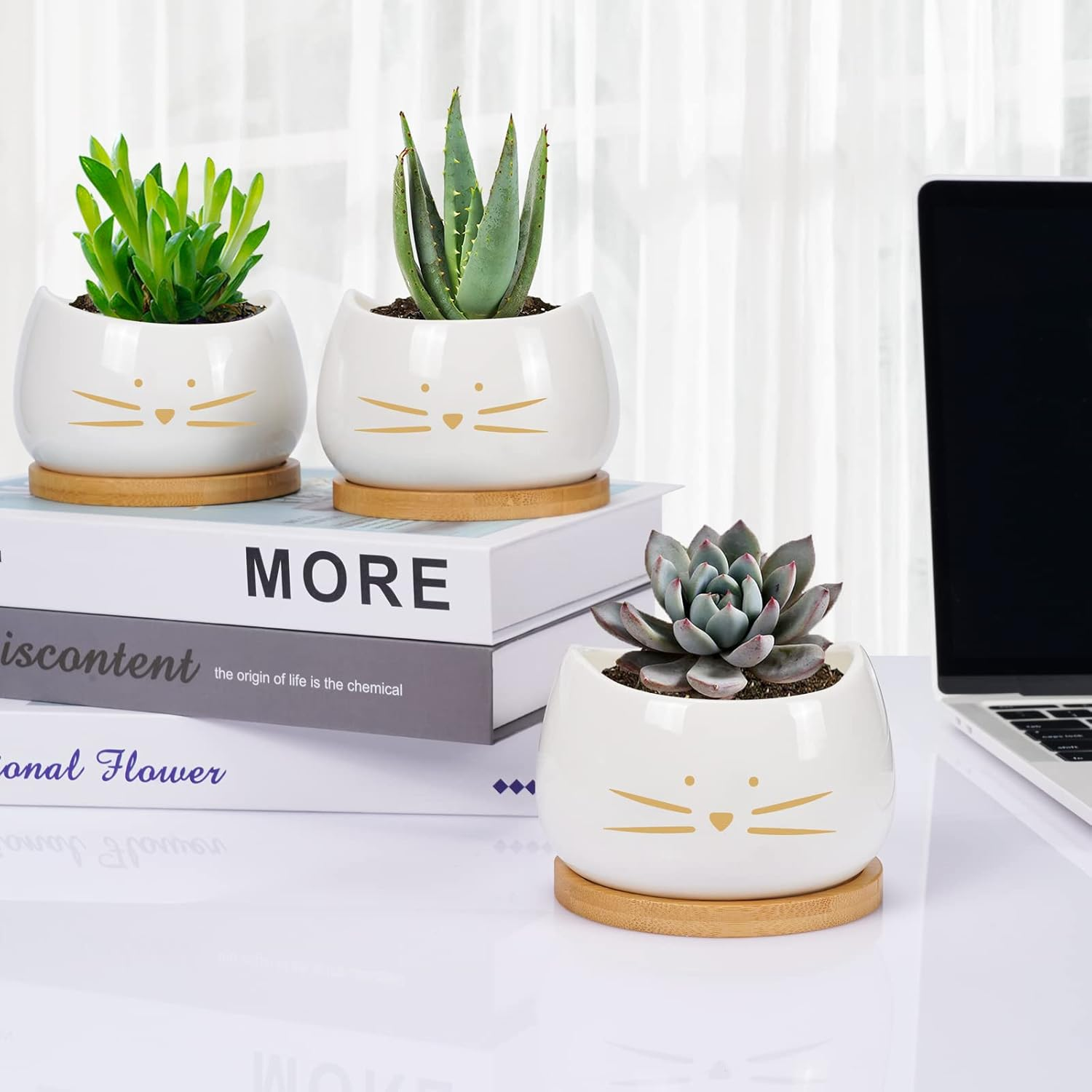 Koolkatkoo 3.2 Inch Cute Cat Ceramic Succulent Planter Pots with Removable Saucer Unique Cactus Planters Porcelain Decorative Flower Pot for Cat Lovers Set of 3 White image number 3