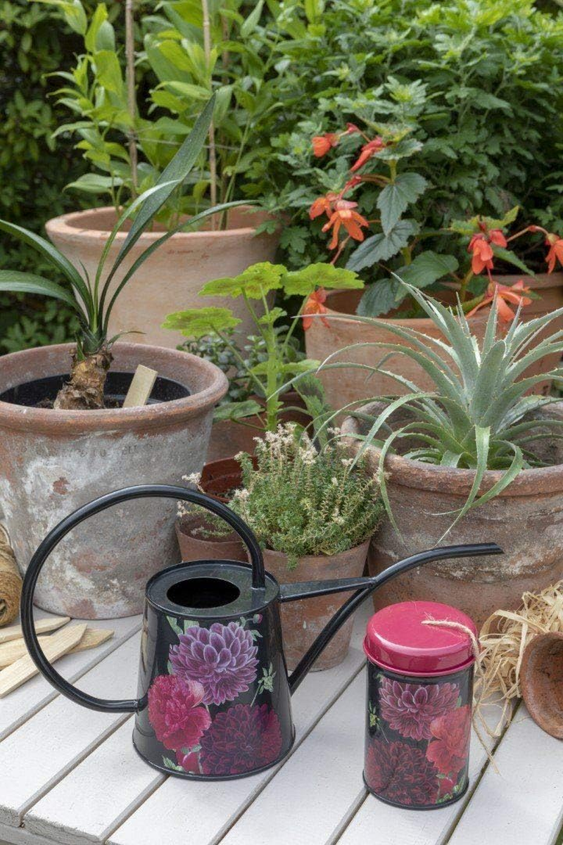 Burgon & Ball British Bloom Indoor Watering Can, 1 Liter Capacity image number 3