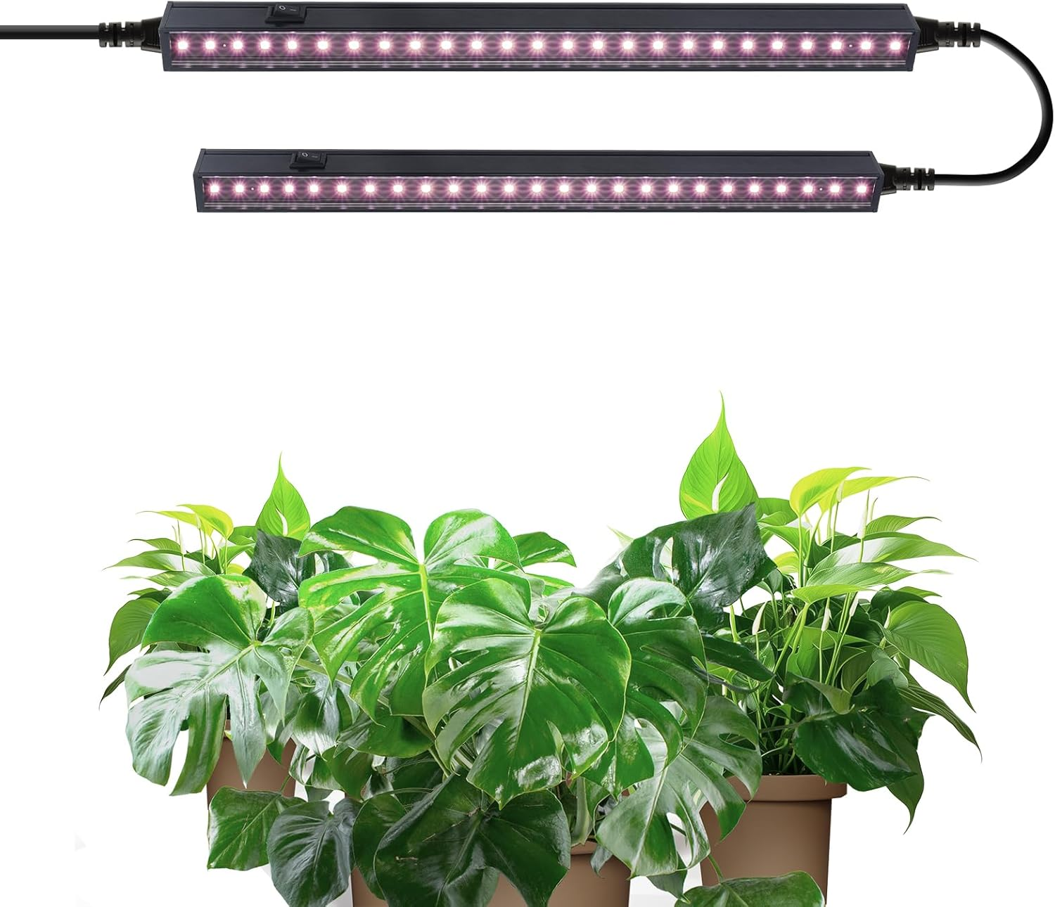 Barrina T5 1FT Plant Grow Lights, 5000K Full Spectrum Plant Lamps, 10W(2 X 5W), Magnetic Black Cover LED Plant Growing Lamps, Linkable, Plug and Play, 2 Packs