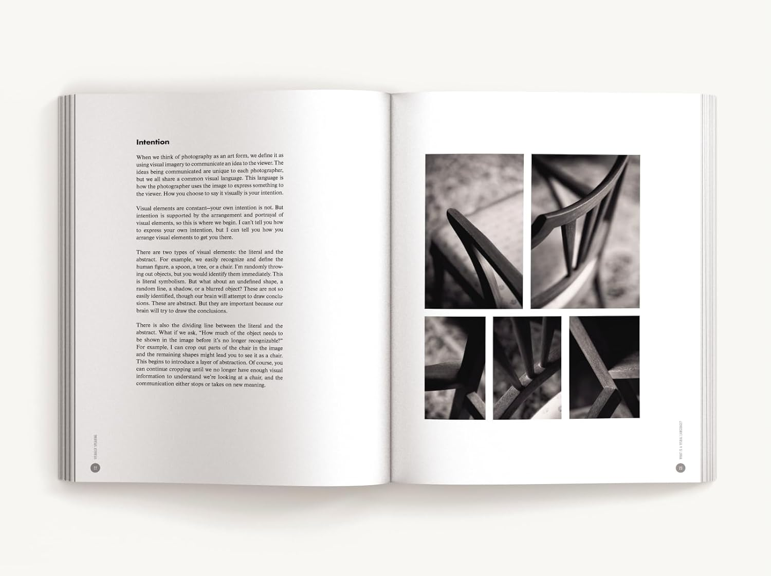 Visually Speaking: Mastering Photography as a Visual Language image number 3