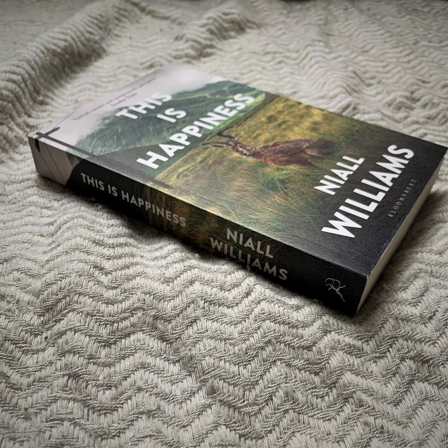 This Is Happiness image number 4