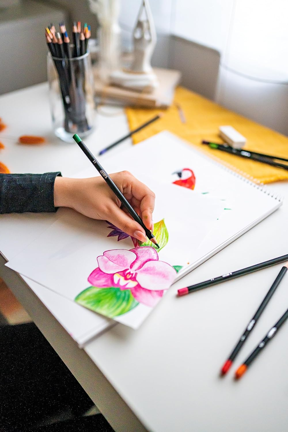 BIC Intensity Premium Colouring Pencil - Pack of 12 Fashion Assorted Wood Colour Pencils image number 3