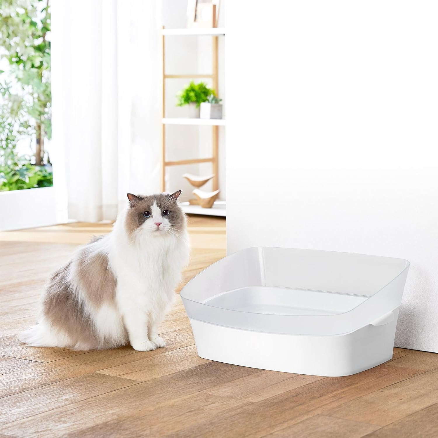 Discipline Toilet Clear Cat M image number 2