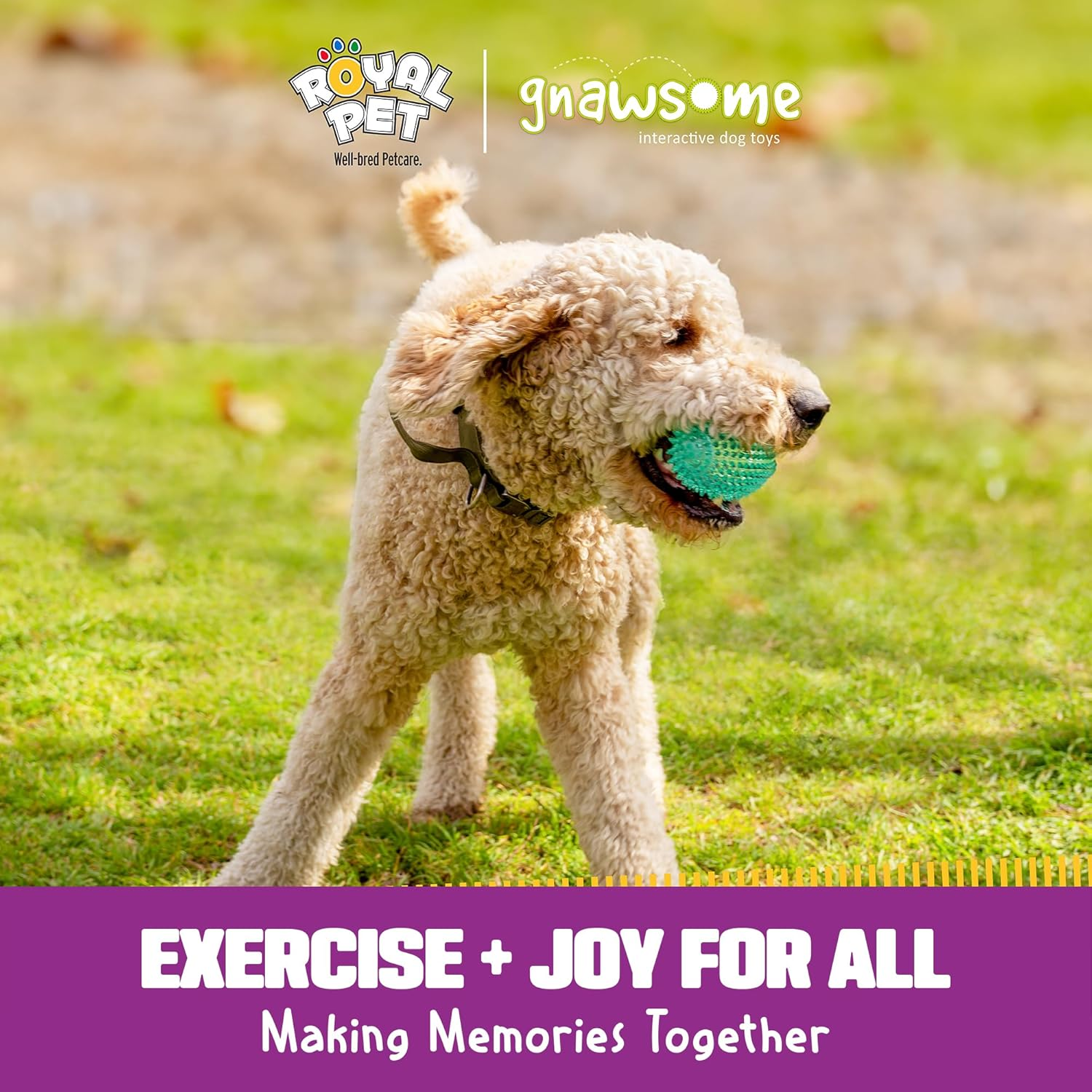 Gnawsome&trade; 4.5&rdquo; Spiky Squeaker Football Dog Toy - Large, Cleans Teeth and Promotes Good Dental and Gum Health for Your Pet, Colors Will Vary,All Breed Sizes image number 4