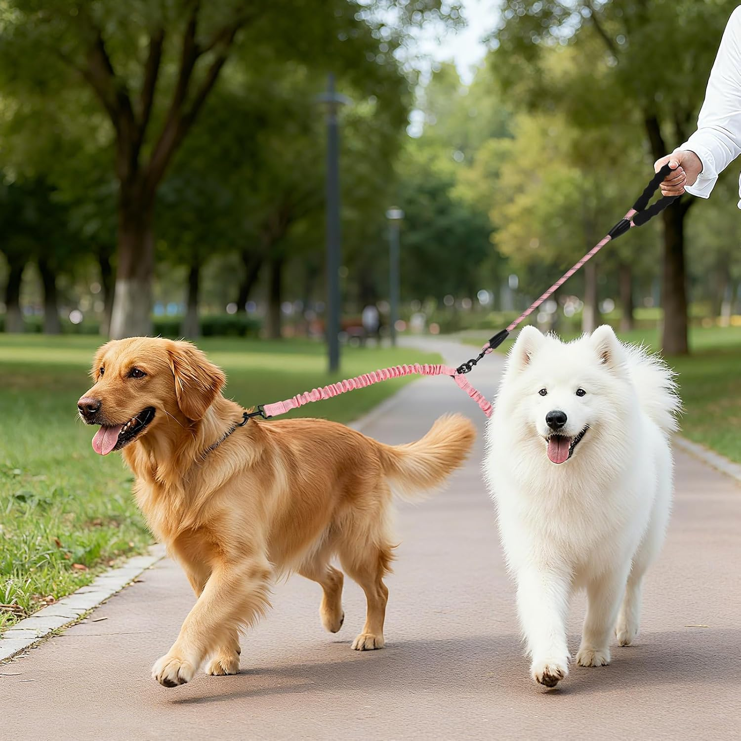 Double Dog Leash for 2 Dogs, Heavy Duty Dual Dog Lead, No Tangle Walking Leash with Shock Absorbing Bungee for Two Dogs, Durable Nylon Dog Lead for Medium/Large Breeds (Pink) - Pink image number 6