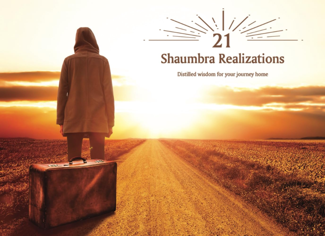 21 Shaumbra Realizations: Distilled Wisdom for Your Journey Home image number 1